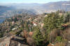 Brunate2